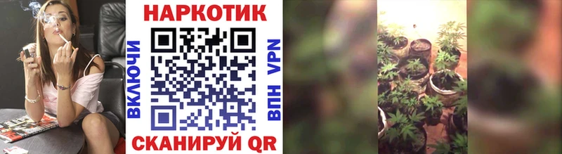 Псилоцибиновые грибы Узловая